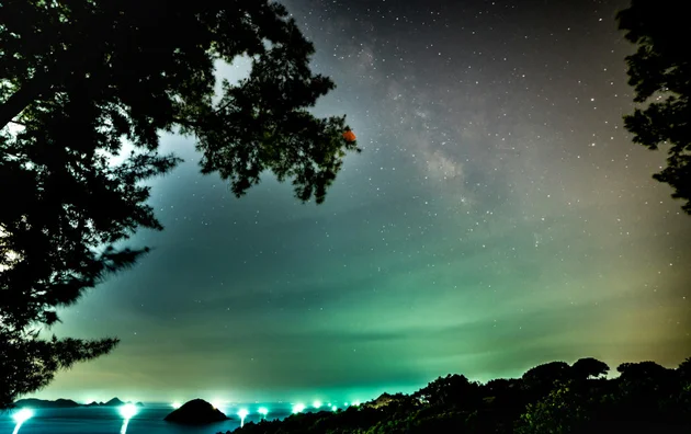 Imagem para o post A natureza, um lindo traço de Deus
