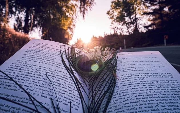 Imagem para o post A natureza um livro aberto